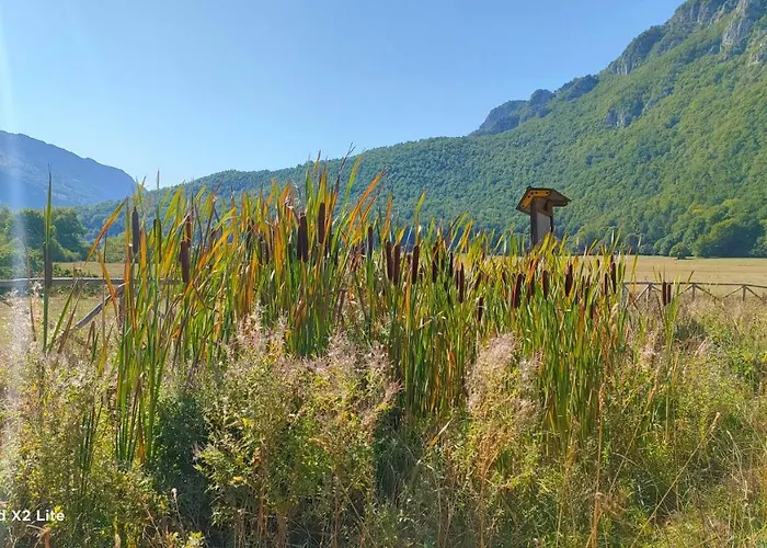 Mirame Casa Διαμέρισμα